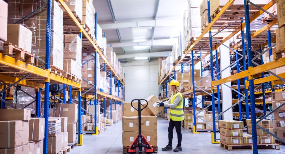 https___f19452a481f004d597af04e29c997a36.cdn.bubble.io_f1675874907872x825171384946835500_My2029281)